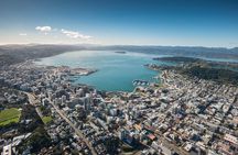 15-Minute Wellington Harbour Helicopter Flight
