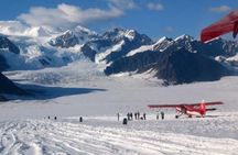 Flightseeing Tour from Talkeetna