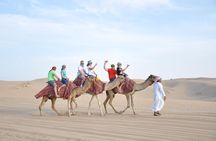 Dubai Desert Adventure Half-Day Tour