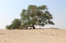 Nature Flora and Fauna Trip from Manama