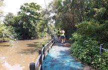 The Original Bicycle Tour in the Green Jungle of Bangkok