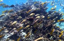 Ang Thong National Marine Park Full Day Tour