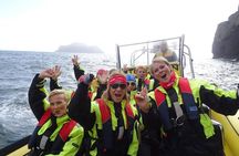 1-Hour Small Group Sightseeing Boat Tour in Vestmannaeyjar