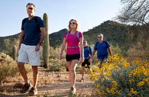 Sonoran Desert Hiking Tour