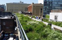 High Line and Hudson Yards Private Walking Tour