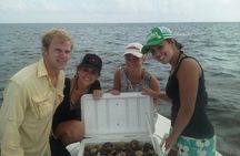 Private Scalloping Charter in Crystal River – Dive for Treasure