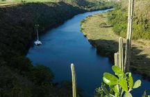 Platinum Catalina Island and Chavon River