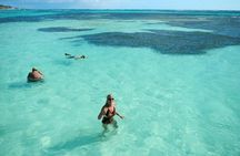 Isla Saona y Altos de Chavón: Excursión en Catamarán