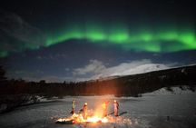 Northern Lights Tour Including Photos Under the Lights in Tromso