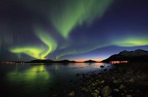 Northern Lights Tour Including Photos Under the Lights in Tromso