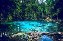 Krabi Emerald Pool, Hot Spring and Tiger Temple
