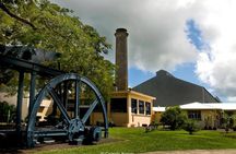 Discovery of Sugar World, North of Mauritius 