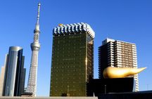 Private Custom Tokyo Tour VIP