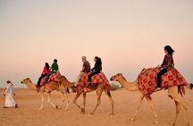Desert Safari Tour with 30 Minutes Quad bike Ride 