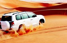 Red Dunes Safari with BBQ dinner, Falcon and Camel Ride