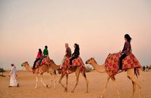 Red Dunes Safari with BBQ dinner, Falcon and Camel Ride