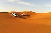 Dubai 30 Mins Quad Bike Desert Drive & Safari - Morning