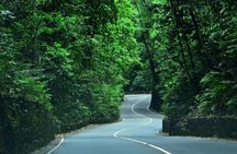 Eco-Tour (Konoko Falls & Fern Gully- from Ocho Rios