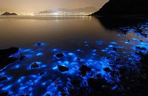 Luminous Lagoon Small Group Tour from Ocho Rios