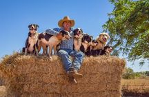 Katherine Outback Experience Show Ticket