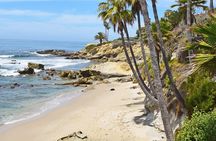 Whale-Watching and Orange County Beaches Tour from Anaheim