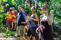 Zimbali's Rasta Tour Lunch