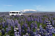 Laugavegur - Fjallabak Tour