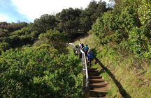 Waiheke Island Private Guided Te Ara Hura Walk