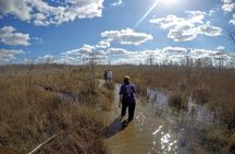 Everglades Tour w/ Biologist Led WET walk + 2 Boat Trips + Lunch!