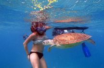 Paddle and Snorkel Tour