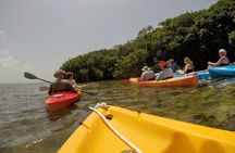 Paddle and Snorkel Tour