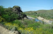 A Day In The Old West Adventure including Horseback Ride and Cowboy Lunch