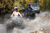 2.5-Hour Denali Wilderness ATV Adventure Tour
