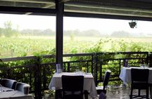 Hunter Valley Helicopter Tour with a Bubbly Breakfast