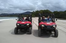Buggy Tamarindo to Playa Flamingo