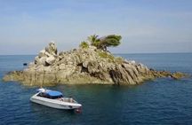 2 dives at coral reefs, Half day for certified divers