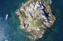 2 dives at coral reefs, Half day for certified divers