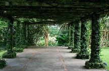 Know the Place: Montego Bay Historical Highlight and Bellefield Great House