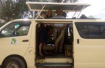 Tsavo And Amboseli National Park 3 days safari