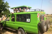 Maasai mara & Lake Nakuru National park tour