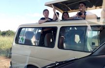 2 days maasai mara flying safari