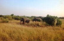 4 Day Safari: Tarangire, Serengeti & NgoroNgoro Crater