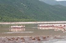 Lake Bogoria Flamingos Tour from Nairobi