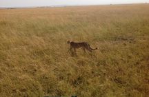 Mikumi national park full day tour from Dar es sallam