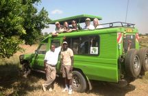 4-Day Safari: Lake Manyara, Serengeti & Ngorongoro 