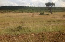 Hell's Gate National Park,Biking and Lake Naivasha Tour