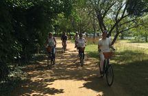 Hampton Court Palace Grounds Bike Tour