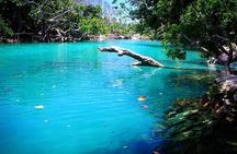 Cultural Experience & Blue Lagoon with Yumi Tours