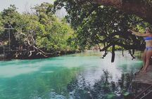 Discover Cascades & Turtle Experience with Yumi Tours