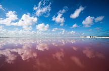 Cancun tour Las Coloradas Pink Lagoon + Rio Lagartos Tour